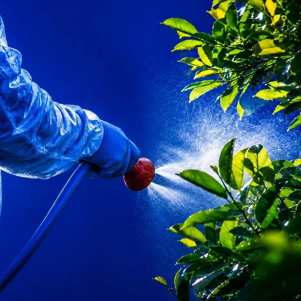 Agricultural crop protection treatment being applied to plants
